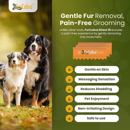 Direct 10 Pet Grooming Brush - Gentle, No Metal Blades, Soft Dog Brush, Cat Brush - Train Pets to be Brushed - Slicker Pet Brush, Puppy Brush, Kitten Brush, Cat Hair Brush, Dog Hair Brush