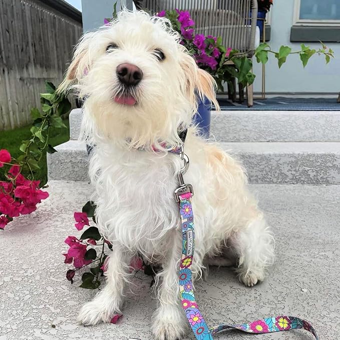 Lucky Love Dog Collars, Cute Large Dog Collars for Female Dogs, Part of Purchase Donated to Rescue (Large, Caroline, Collar)