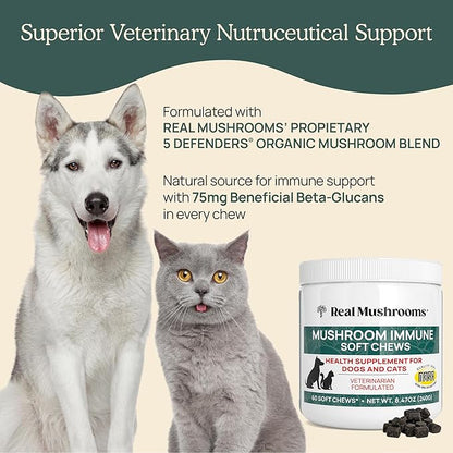 Real Mushroom Immune Pet Chews  For Daily Digestive & Immune Health  Mushrooms for Dogs & Cats Functional Treat  Mushroom Supplement for Dogs & Cats  1 to 4 Chews For All Breeds & Sizes (60 Count)
