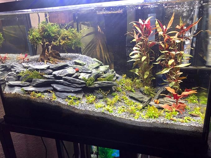 Voulosimi Natural Slate Rocks PH Neutral Stone Perfect Rocks for Aquariums, Landscaping Model,Tank Decoration,Amphibian Enclosures (3.5 LB, 3-5 inch)