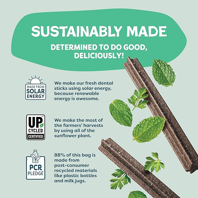 Shameless Pets Dental Chews for Dogs, Mighty Mint Dental Sticks, Healthy Treats for Teeth Cleaning & Fresh Breath - Free from Grain, Corn, & Soy for Small Dogs, 7.2 Ounce Bag