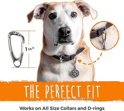 Mighty Paw Dog Tag Carabiner Clips - 3 Pack Strong Dog Tag Clip - Weather Resistant & Easy to Clean Quick ID Holders - Easy Switch Dog Tags - Attach Keys or Poop Bag Holders - for All Size Collars