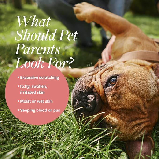 Veterinary Formula Clinical Care Hot Spot & Itch Relief Medicated Spray, 8oz  Easy to Use Spray for Dogs & Cats  Helps Alleviate Sensitive Skin, Scratching, and Licking of Coat (2 Pack)