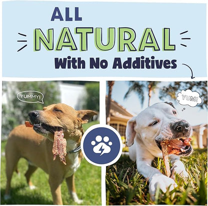 Pawstruck Premium Beef Jerky Dog Treat Chews, Medium 4"-6" Strips  Supports Hip & Joint Health, Rich in Glucosamine & Chondroitin, No Added Preservatives  25 Count