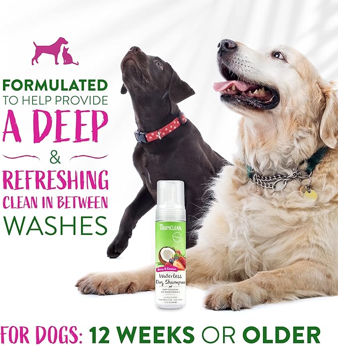 TropiClean No Rinse Waterless Dog Shampoo | Detangling and Deodorizing Dry Shampoo for Smelly Pets | Moisturizes Dry Skin | USA Made | Berry Scent | 7.4oz