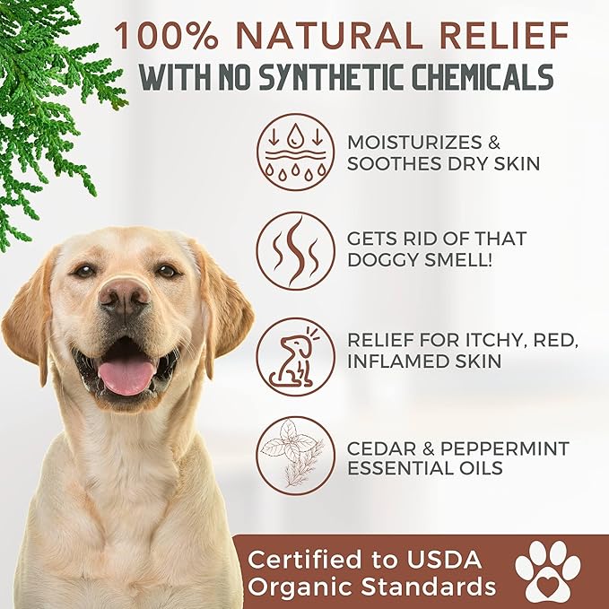 Organic Dog Shampoo and Conditioner USDA Certified - All Natural Concentrated Cedar Dog Shampoo with Peppermint, and Eucalyptus - Dog Shampoo for Itchy Skin - Dog Shampoo for Smelly Dogs 16 oz