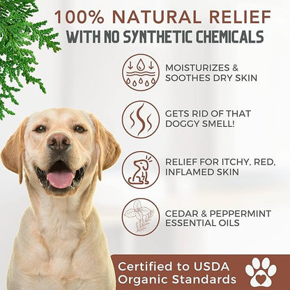 Organic Dog Shampoo and Conditioner USDA Certified - All Natural Concentrated Cedar Dog Shampoo with Peppermint, and Eucalyptus - Dog Shampoo for Itchy Skin - Dog Shampoo for Smelly Dogs 16 oz