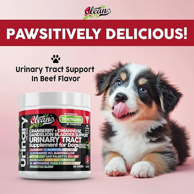 Cranberry for Dogs Urinary Tract Support | D-Mannose UTI Bladder Stones Dandelion Glucosamine HCL Marshmallow Nettle Leaf Saw Palmetto Uva Ursi Buchu Horsetail Methionine Parsley Supplement