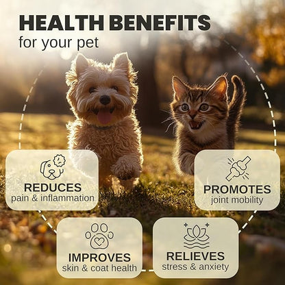 Billion Pets - Hemp Oil for Dogs and Cats - Helps with Anxiety, Pain, Stress, Sleep, Arthritis, Seizures Relief - Hip and Joint Support - Calming Drops