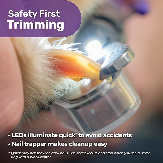 Hertzko Dog Nail Clippers with LED Light for Large & Medium Dogs - Violet Cat Nail Clipper with Replacement Blade & Nail File, Purple Nail Clippers for Dogs, Grooming Paw Pads, Circular Blade