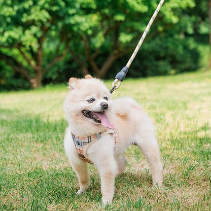 BEAUTYZOO Small Dog Harness and Leash Set,Step in No Chock No Pull Soft Mesh Dog Harnesses Reflective for Extra-Small/Small Medium Puppy Dogs and Cats, Plaid Dog Vest Harness for XS S Pets, Beige XS