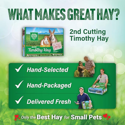 Small Pet Select 2nd Cutting Perfect Blend Timothy Hay Pet Food for Rabbits, Guinea Pigs, Chinchillas and Other Small Animals, Premium Natural Hay Grown in The US, 20 LB