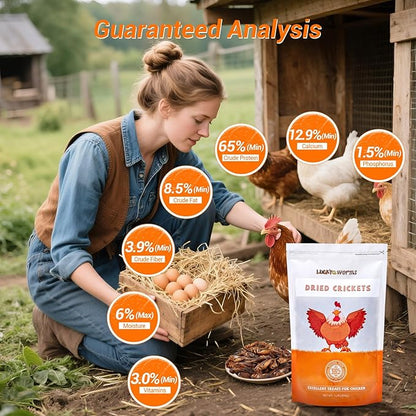 Dried Crickets 1 lb for Chickens, Wild Birds, Hedgehogs, Reptiles, Lizards, Bearded Dragons, Fish, Turtles - High Protein Natural Insect Food Resealable Bag