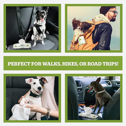 Pogi_ Dog Wipes Travel Packs  Hypoallergenic Pet Wipes for Paws, Body & Butt  Cleaning & Hydrating, Green Tea Scent, 120-Count