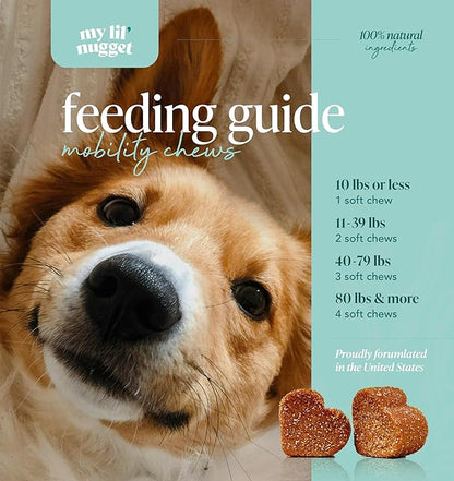 My Lil Nugget  Joint Supplement for Dogs with Glucosamine, Chondroitin, & Hemp  Natural Hip and Joint Support  Bacon Flavor Chews for Mobility, Flexibility & Dog Arthritis Pain Relief  90 Count