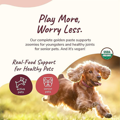 kin+kind Hip+Joint Supplement Dogs & Cats - Vet Formulated Natural Formula with Organic Turmeric, Black Pepper and Coconut- Made in USA - Bundle (3 x 8 oz)