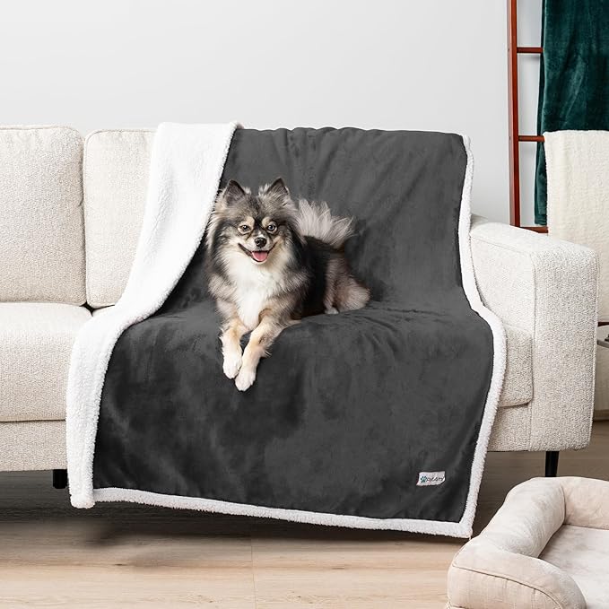 PetAmi WATERPROOF Dog Blanket for Medium Large Dog, Pet Puppy Blanket Couch Cover Protection, Sherpa Fleece Cat Blanket, Sofa Bed Furniture Protector Reversible Soft Plush Washable, 60x40 Charcoal