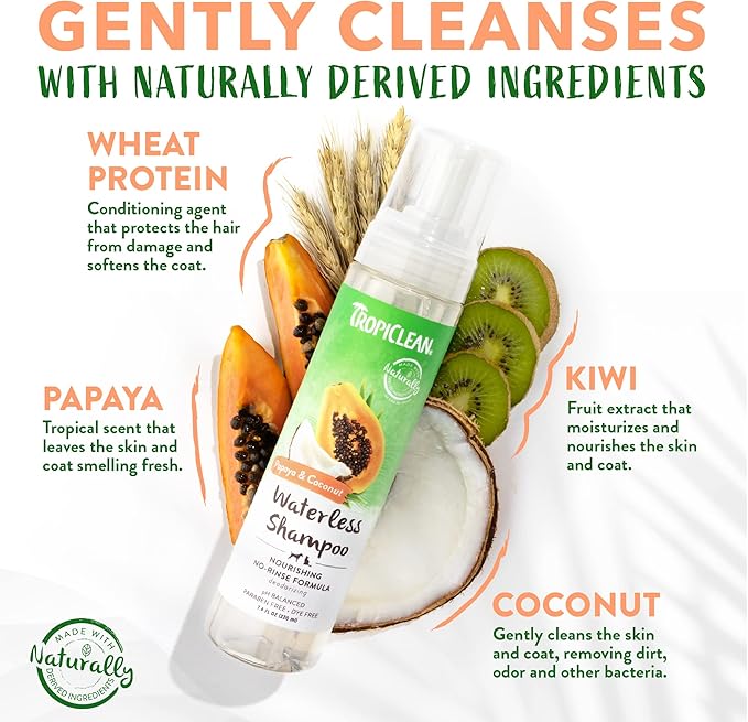TropiClean No Rinse Waterless Dog Shampoo | Detangling & Deodorizing Dry Shampoo for Smelly Pets | Moisturizes Dry Skin | USA Made | Papaya Scent | 7.4oz
