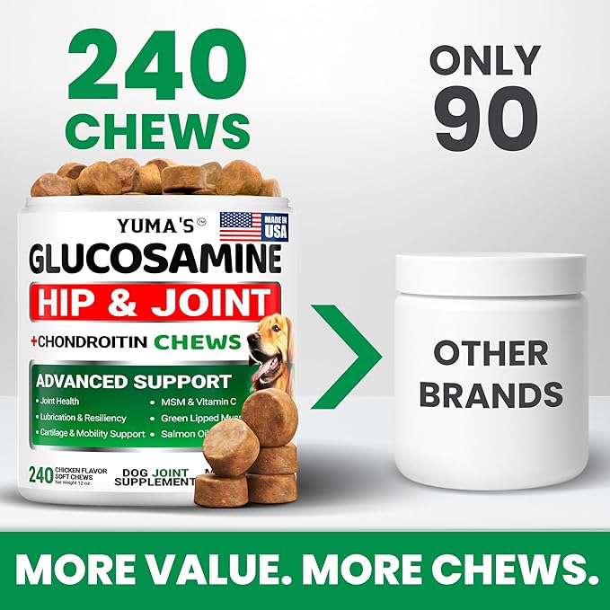 Glucosamine for Dogs - 240 Chews - Hip and Joint Supplement for Dogs - Advanced Glucosamine Chondroitin Treats with MSM - Joint Pain Relief - Large & Small Breed - Mobility Support - Made in USA