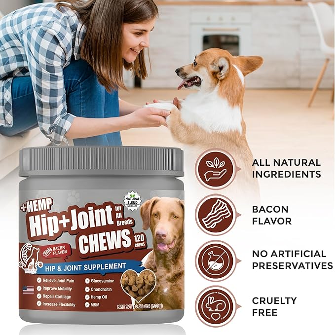 2-Pack Dog Pain Relief Hip and Joint Supplements | Glucosamine for Dogs 600mg | Organic Hemp Seed Powder/Oil 650mg | Chondroitin, MSM, Turmeric, Vitamins C & E+ | 240 Bacon Mobility Supplements