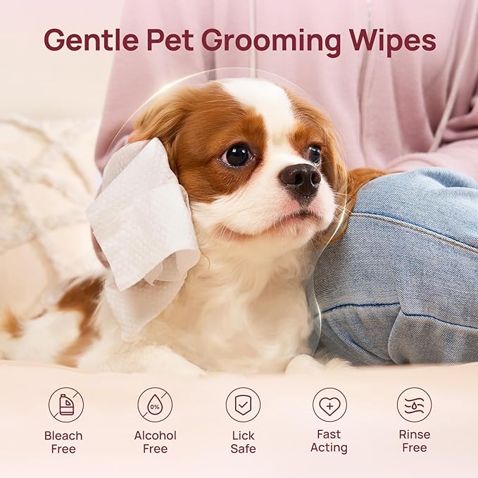 HICC PET Cleaning Deodorizing Wipes for Dogs & Cats, Vet Recommended Nourishes Smoothes Fur Pet Grooming Wipes with Fermented Coconut Oil, Hypoallergenic Dog Wipes for Paws and Butt, Face, Body