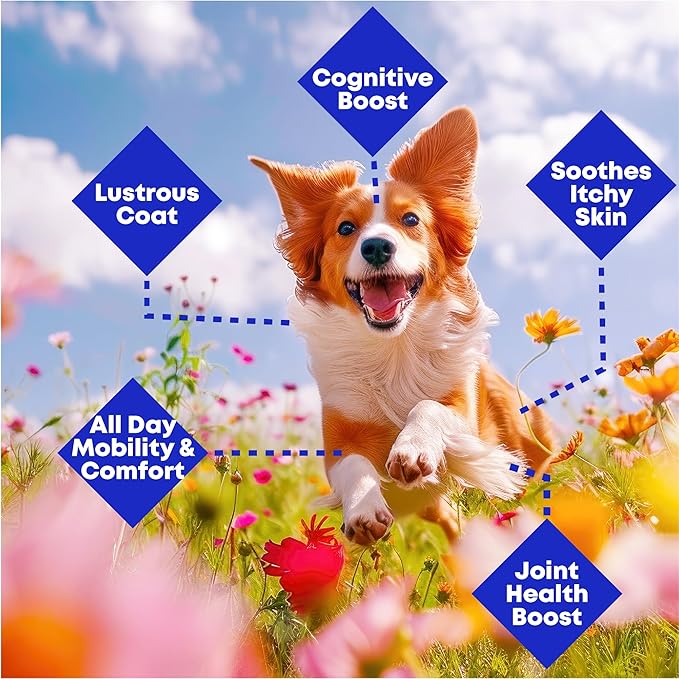 Wild Alaskan Salmon & Pollock Oil for Dogs – Itchy Skin, Shedding, Allergy & Joint Relief – NASC Certified Omega 3s – 8oz Liquid Food Topper – Club Hachiko