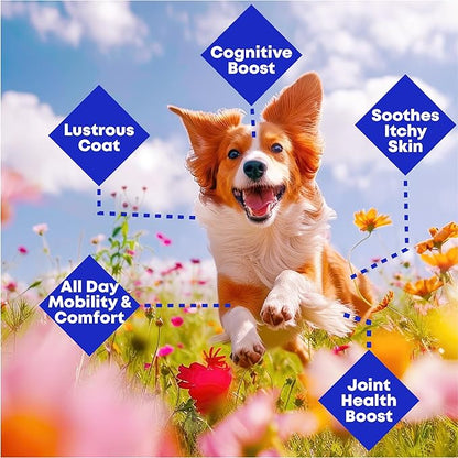 Wild Alaskan Salmon & Pollock Oil for Dogs – Itchy Skin, Shedding, Allergy & Joint Relief – NASC Certified Omega 3s – 8oz Liquid Food Topper – Club Hachiko