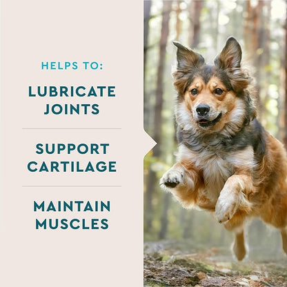 VetIQ Glucosamine Hip & Joint Supplement for Dogs, 60 Soft Chews, Joint Support Supplement with MSM and Krill, Dog Health Supplies Large & Small Breed, Chicken Flavored Chewables