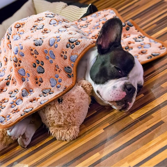 Tatuo 4 Pcs Dog Blanket Pet Puppy Blanket Puppy Teething Toys Paw Print Fleece Blanket for Pet Cat Soft Warm Sleep Mat Guinea Pig Cage Blanket(Medium(30 x 20.5 Inch),Coffee)