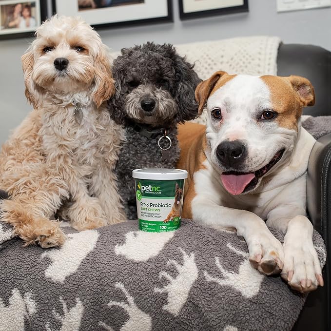 PetNC Natural Care Liver Flavor,Cheese Pre & Probiotic Soft Chews for Dog 120 ct (Pack of 1) (Packaging May Vary)