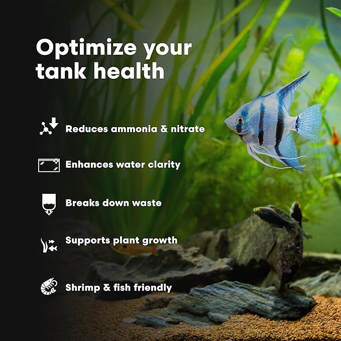 Brightwell Aquatics FlorinBacter7 Freshwater Aquarium Conditioner | Supports Biological Filtration | Removes Ammonia, Nitrite & Nitrate | Improves Water Clarity, 2L