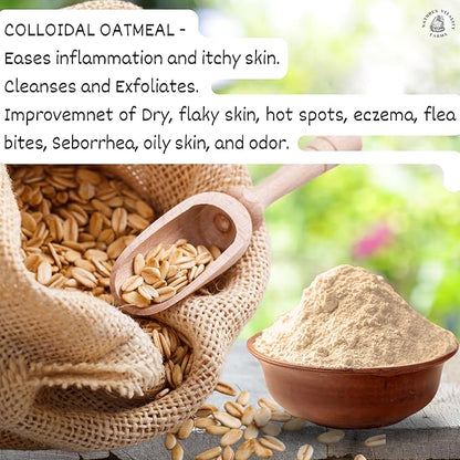 U.S.A. Dry Dog Shampoo - Natural Deodorizing Powder - Itchy Sensitive Skin Allergies - Stinky Odors - Waterless for Cats (Lavender)