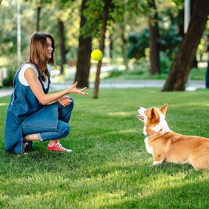 PrimePets Tennis Balls for Dogs, 2.5 Inch Thick Bouncy Dog Ball, Interactive Dog Toys for Indoor Outdoor, Fetch Balls for Medium, Large Dogs