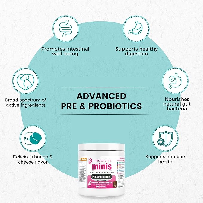 Nootie Progility Mini Pre & Probiotic Supplement, Digestive Aid Supplement for Dogs, 60 Soft Chews per Container (Pack of 2)