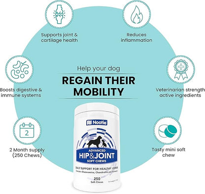 Nootie Glucosamine for Dogs - 250 ct - Hip and Joint Soft Chews Supplement for Dogs - Daily Dog MSM Chondroitin Chews with Turmeric - Joint Care Vitamins for All Breeds and Sizes USA