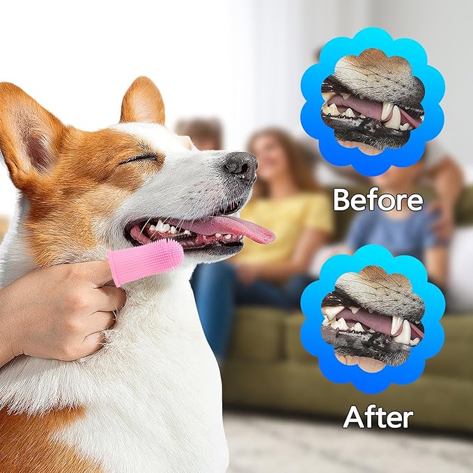 7PCS Pet Grooming Bath Brush Set Dog Shampoo Brush Dog Shower Scrubber Self Cleaning Slicker Brush for Short-haired pet Wash Towel