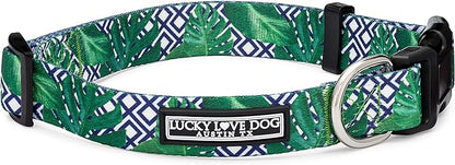 Lucky Love Dog Collar, Beautiful & Vivid Pattern Medium Boy Dog Collars, Easy On & Off Clasp Accessory (Blue Laguna, M)