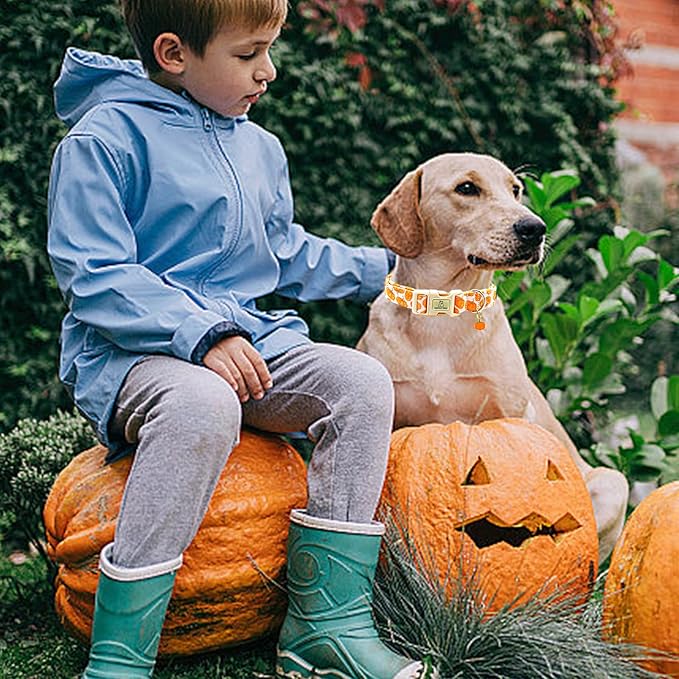 Lionheart glory Halloween Dog Collars Pumpkin Pink Dog Collar Heavy Duty Adjustable Fall Dog Collar for Small Collar Dog Female or Male Dog Collar