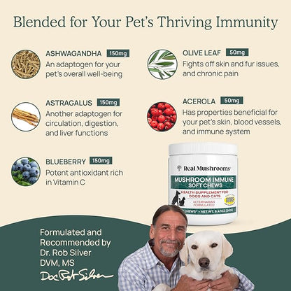 Real Mushroom Immune Pet Chews  For Daily Digestive & Immune Health  Mushrooms for Dogs & Cats Functional Treat  Mushroom Supplement for Dogs & Cats  1 to 4 Chews For All Breeds & Sizes (60 Count)