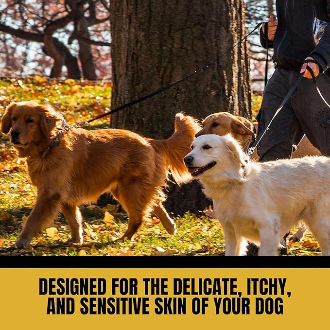 2-Pack Oatmeal Bath for Bissell Barkbath No Rinse Dog Shampoo - Natural & Waterless Dog Shampoo for Fresh & Clean Coat - Gentle Dog Dry Shampoo for Dogs - Alcohol Free Dog Wash Solution (20 Fl Oz)