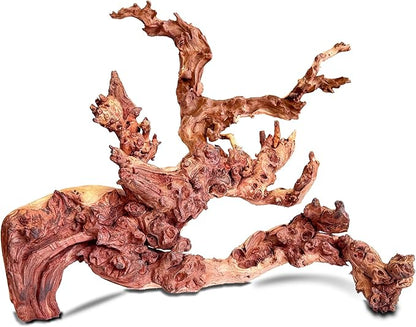 Natural Wood Coral Driftwood for Aquarium Fish Tank Decor,Assorted Driftwood Branch for Reptile Decor (Coral Driftwood Large (14 to18 Inch)-Pack of 1)