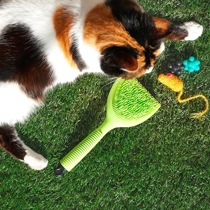 Michel Mercier Grooming Brush -Pet Brush Dog and Cat Brush for Shedding Grooming Pet Hair Brush for Long/Short Haired - Free Tick Remover Tool Included (Fine & Regular Coat)