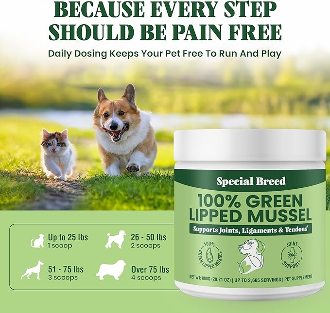 Green Lipped Mussel Powder for Dogs & Cats - 100% New Zealand Green Lipped Mussels - Natural Hip & Joint Supplement for Joints, Tendons, Ligaments, Muscles - 800 Grams - Up to 2,665 Servings