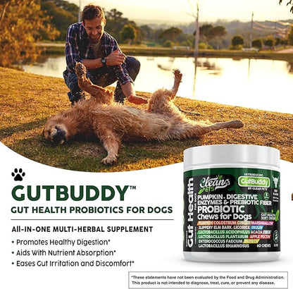 Probiotics for Dogs with Pumpkin, Colostrum, Digestive Enzymes, Ginger, Slippery Elm, Licorice, Inulin Fiber & More | Beef Flavor Soft Chews for Gut Health and Digestion Dog Supplement