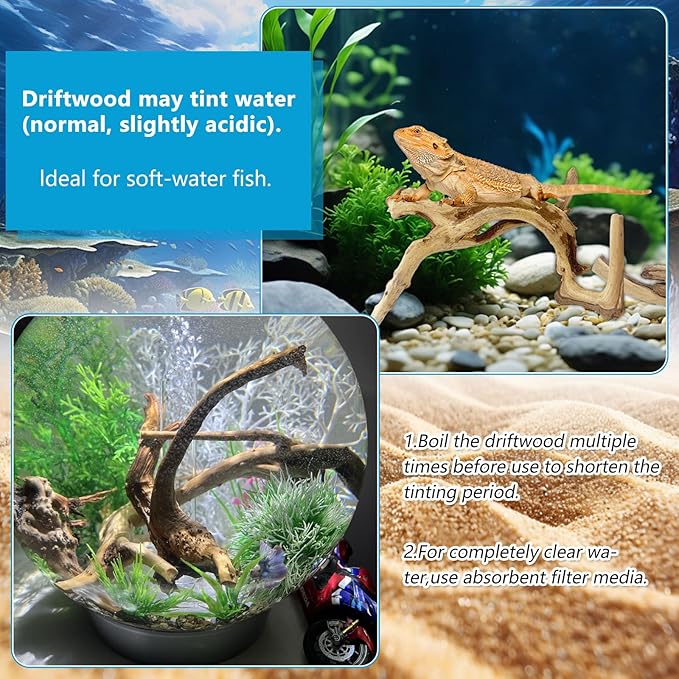 3 Pcs Natural Spiderwood for Aquarium, Aquarium Driftwood Freshwater 10-12 Inch, Assorted Size Spider Wood, Twisted Branches for Fishtank Accessories, Reptile Terrariums Decorations
