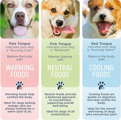 Side by Side Pork & Rabbit | Beef & Salmon Stew - Wet Dog Food & Dog Food Topper for All Breeds - Made with Nutrients & Whole Raw Ingredients - No Artificial Additives or Fillers (12.5 oz, 4-Pack)