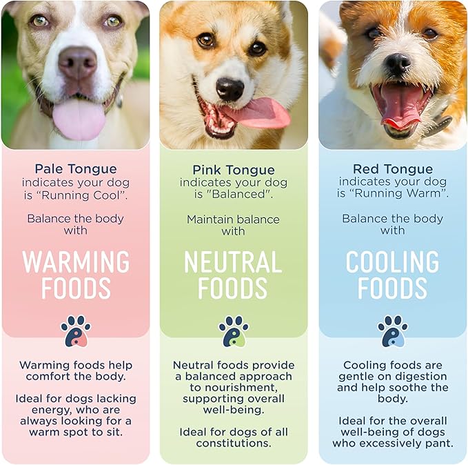 Side by Side Pork & Rabbit Stew - Cooling Wet Dog Food & Dog Food Topper for All Breeds - Made with Nutrients & Whole Raw Ingredients - No Artificial Additives or Fillers - USA Made (12.5 oz, 3-Pack)