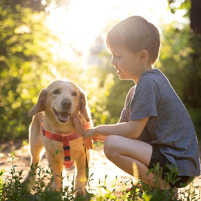 Dog Harness for Large Dogs Rayon Derived from Bamboo 90%, Polyester 10% No Pull Large Dog Harness, Step-in Adjustable Dog Harness for Large Dogs-Orange