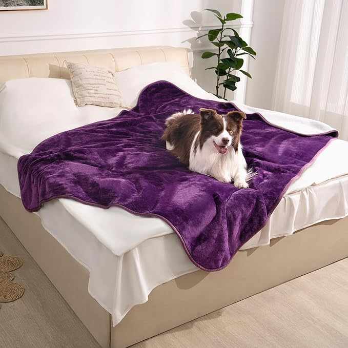 gogobunny Waterproof Bed Blanket, Reversible Sherpa Fleece Throw Blanket for Dog Puppy Cat, Furniture Cover Protects Bed Couch Sofa from Liquid Pee and Pet Fur (Dark Purple, 60x80 inches)