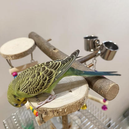 Natural Wood Bird Perch Playground for Outside the Cage Wall, Bird Platform and Play Area for Small to Medium Parrots like Cockatiels, Conures, Parrotlets, Lovebirds, and Budgies, Bird Cage Accessory